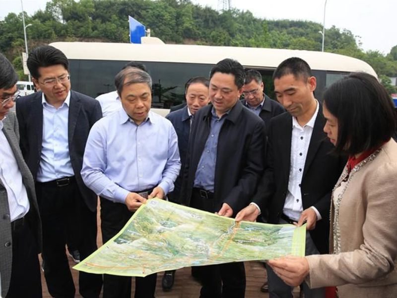 今年会jinnianhui园林绿化维护