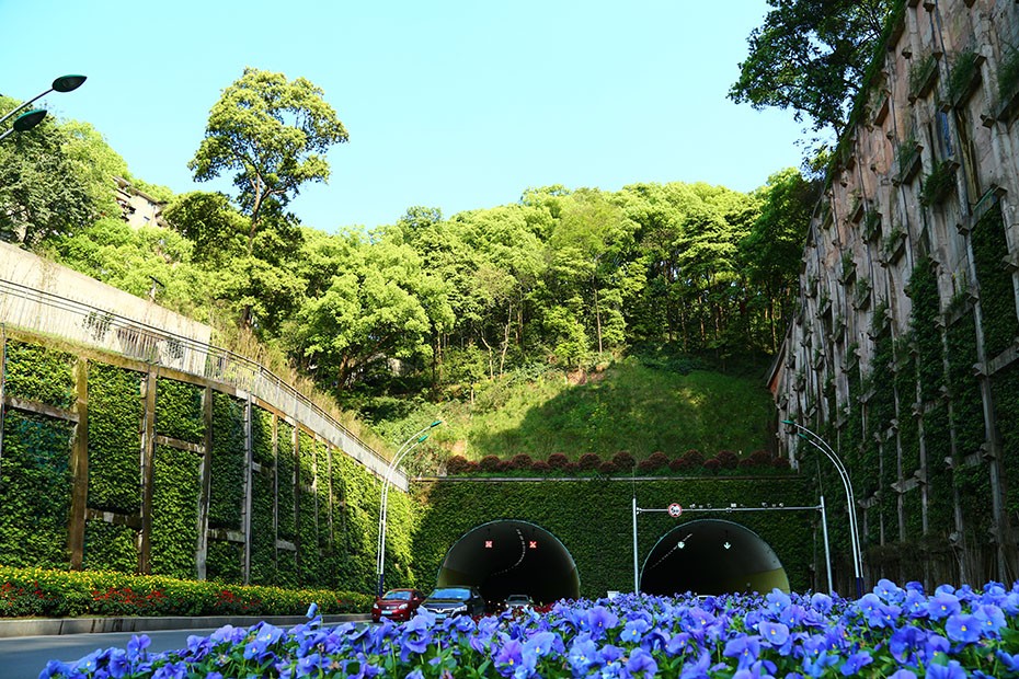 今年会jinnianhui园林绿化维护